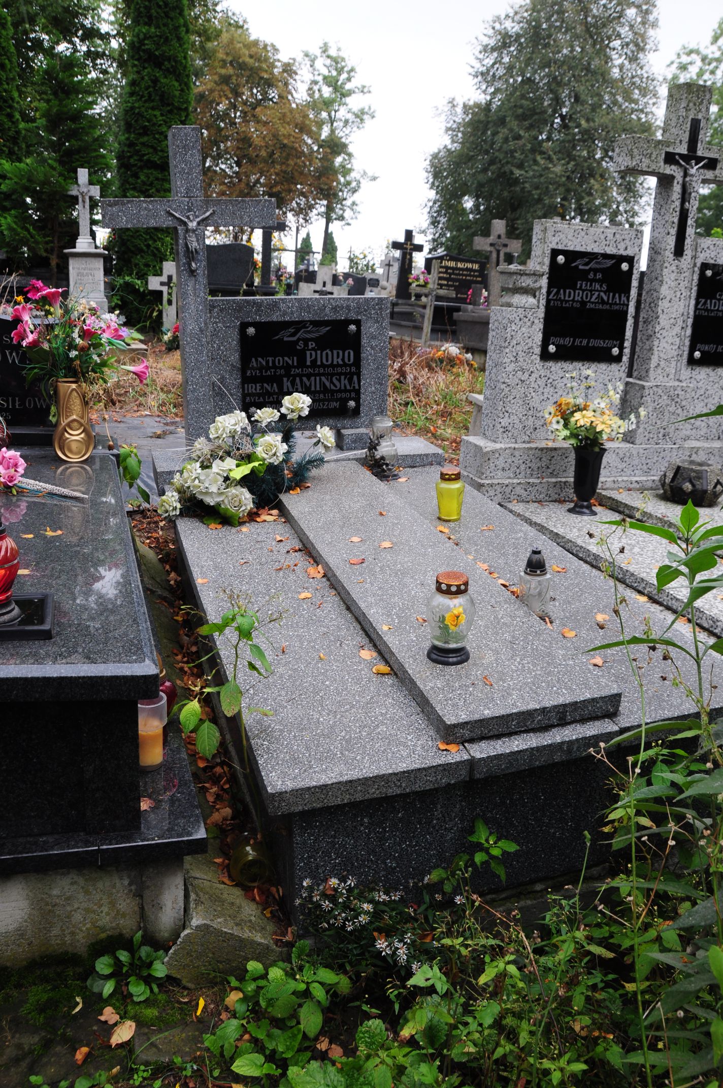 Irena Kamińska Łosice - Grobonet - Wyszukiwarka osób pochowanych