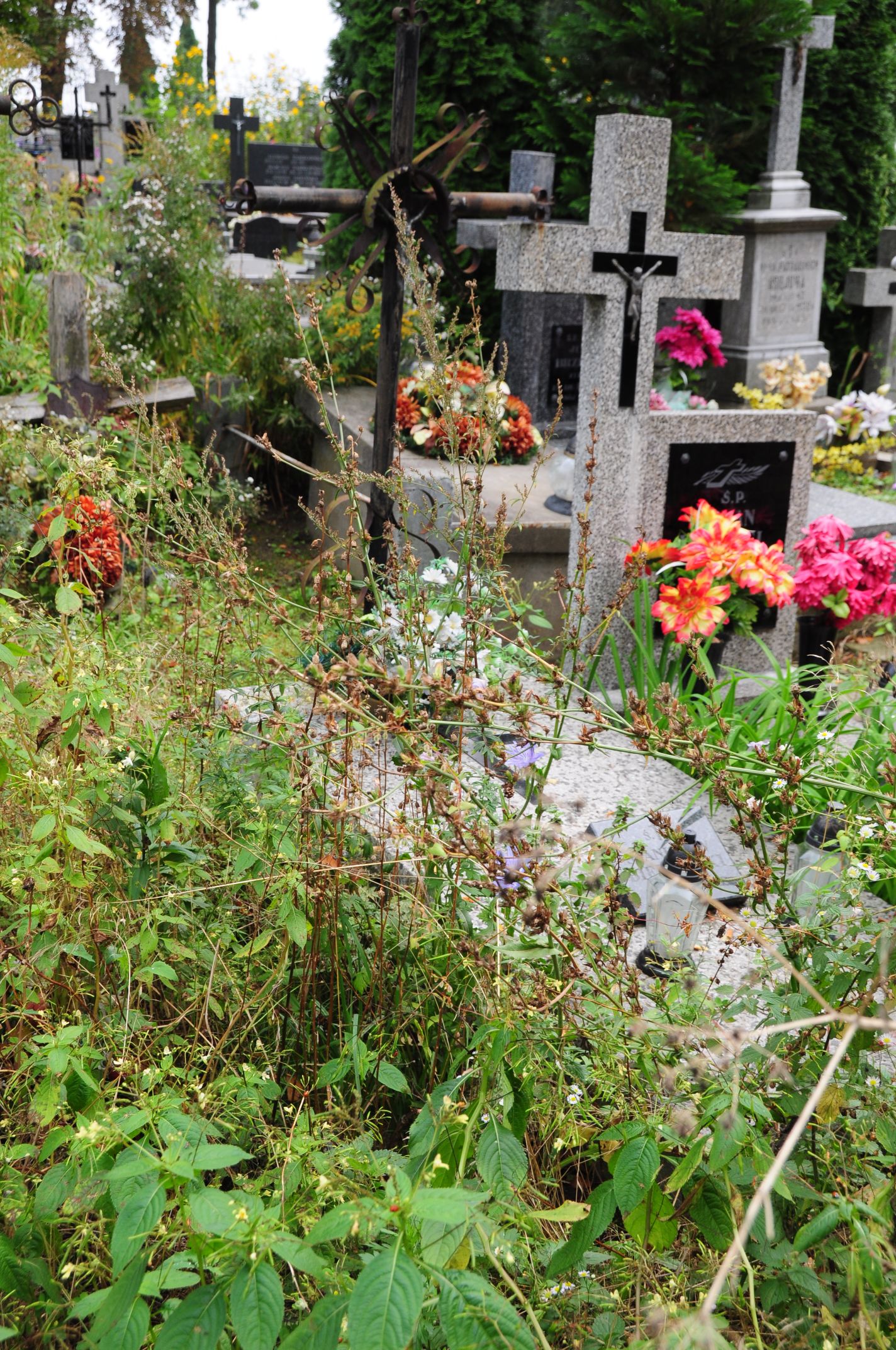 Stanisław Biernacki Łosice - Grobonet - Wyszukiwarka osób pochowanych