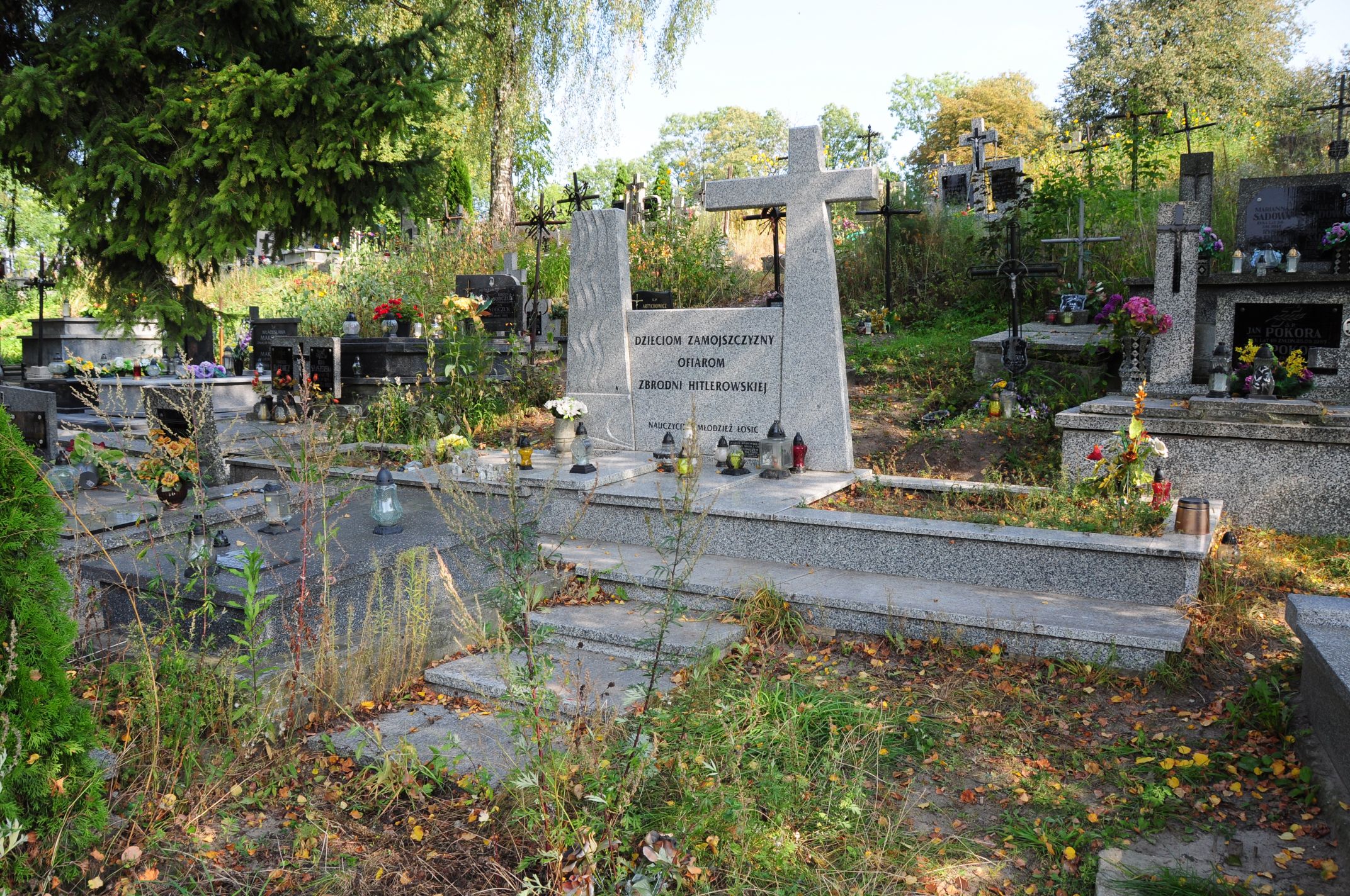  Dzieci Zamojszczyzny Łosice - Grobonet - Wyszukiwarka osób pochowanych