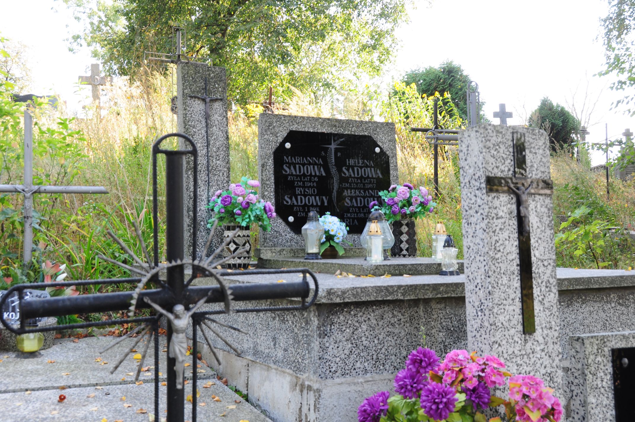 Aleksander Sadowy Łosice - Grobonet - Wyszukiwarka osób pochowanych