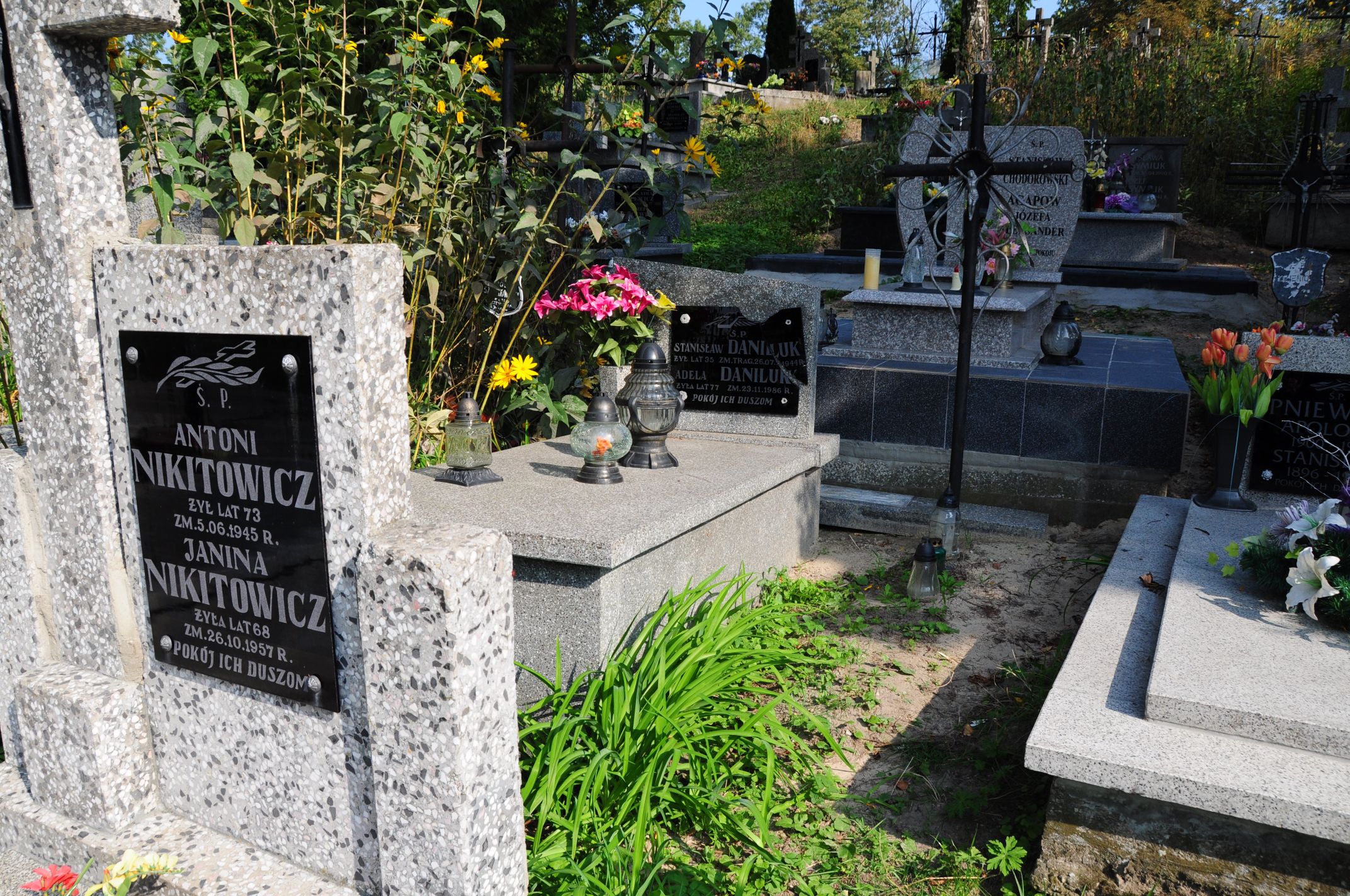 Stanisław Daniluk Łosice - Grobonet - Wyszukiwarka osób pochowanych