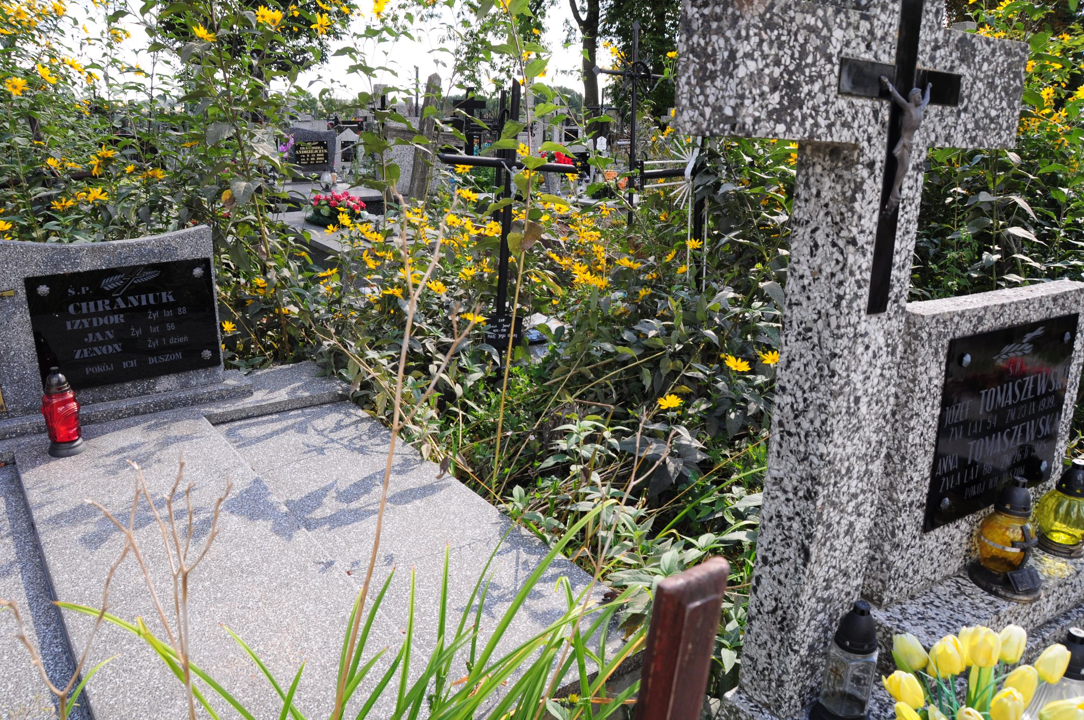 Józef Semeniuk 1875 Łosice - Grobonet - Wyszukiwarka osób pochowanych