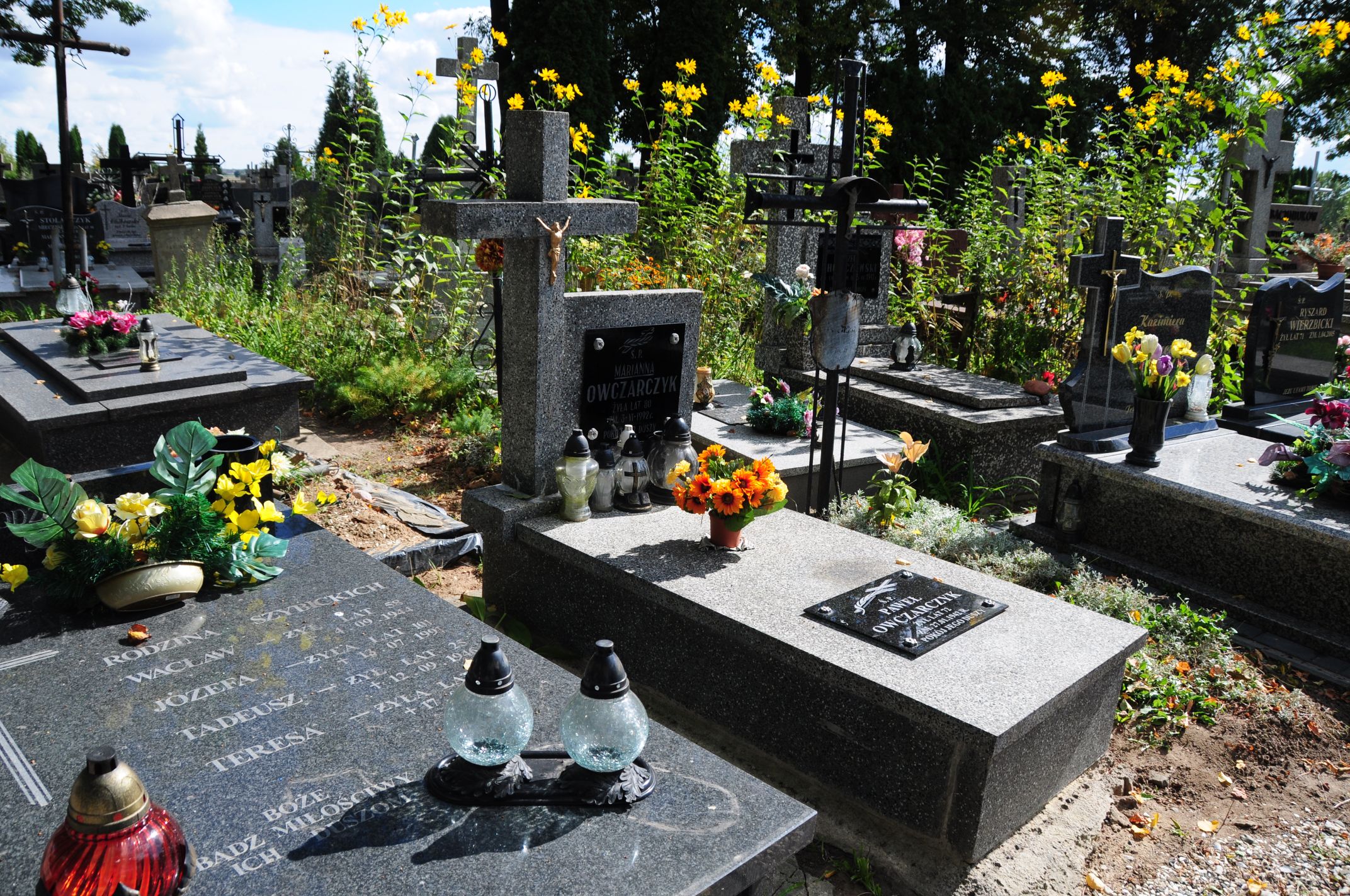 Paweł Owczarczyk Łosice - Grobonet - Wyszukiwarka osób pochowanych