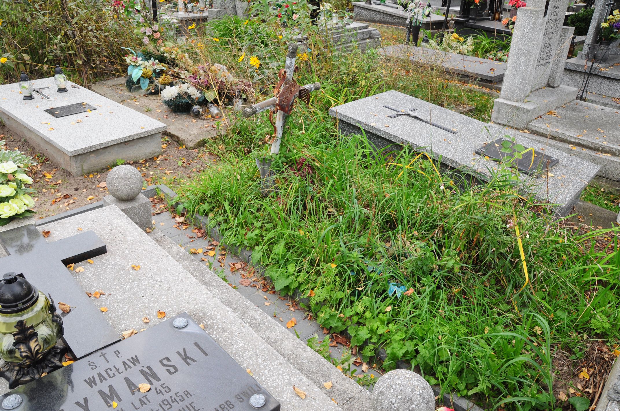 Maria Kujawska 1961 Łosice - Grobonet - Wyszukiwarka osób pochowanych