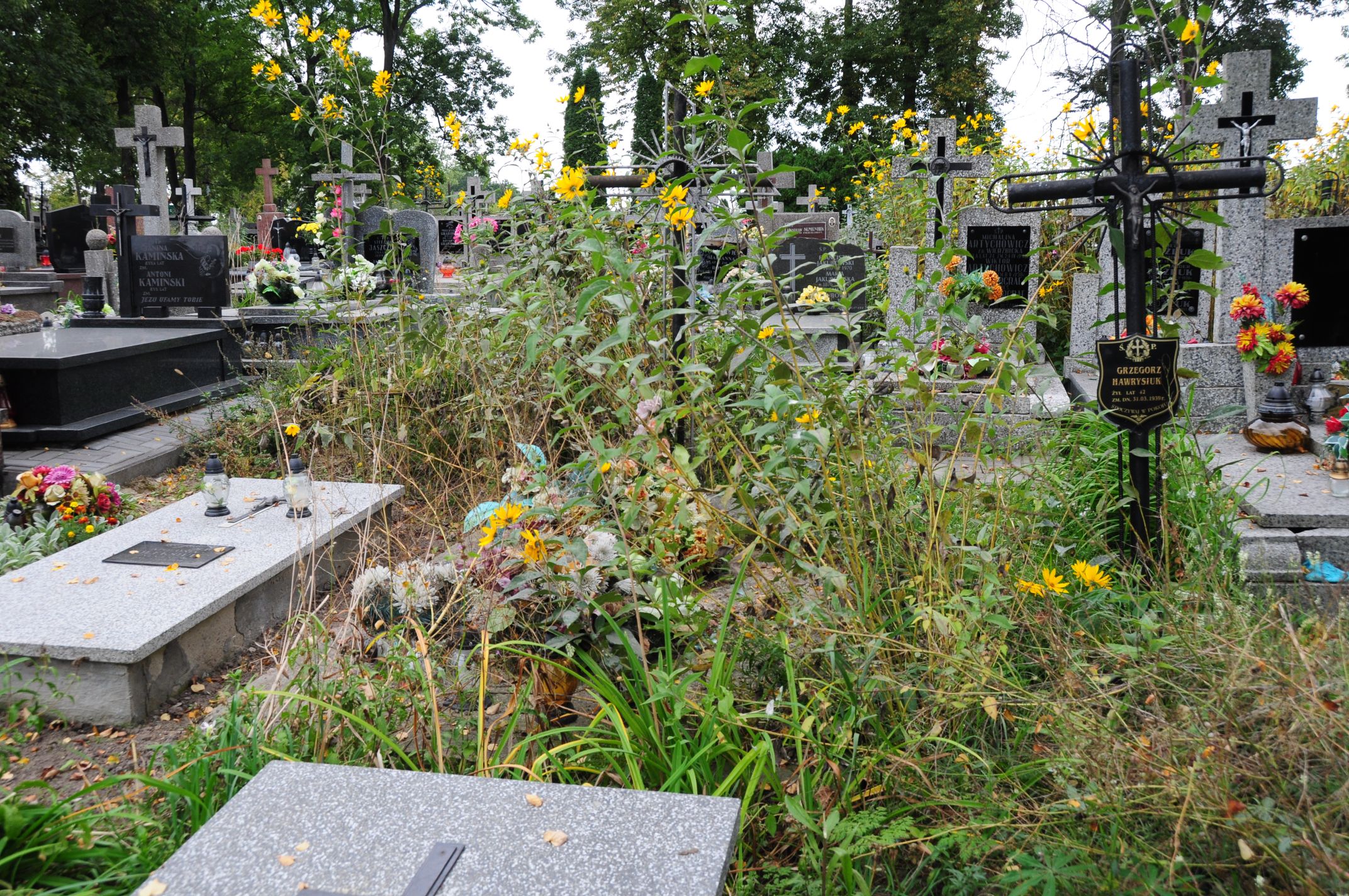 Jadwiga Litwinek Łosice - Grobonet - Wyszukiwarka osób pochowanych