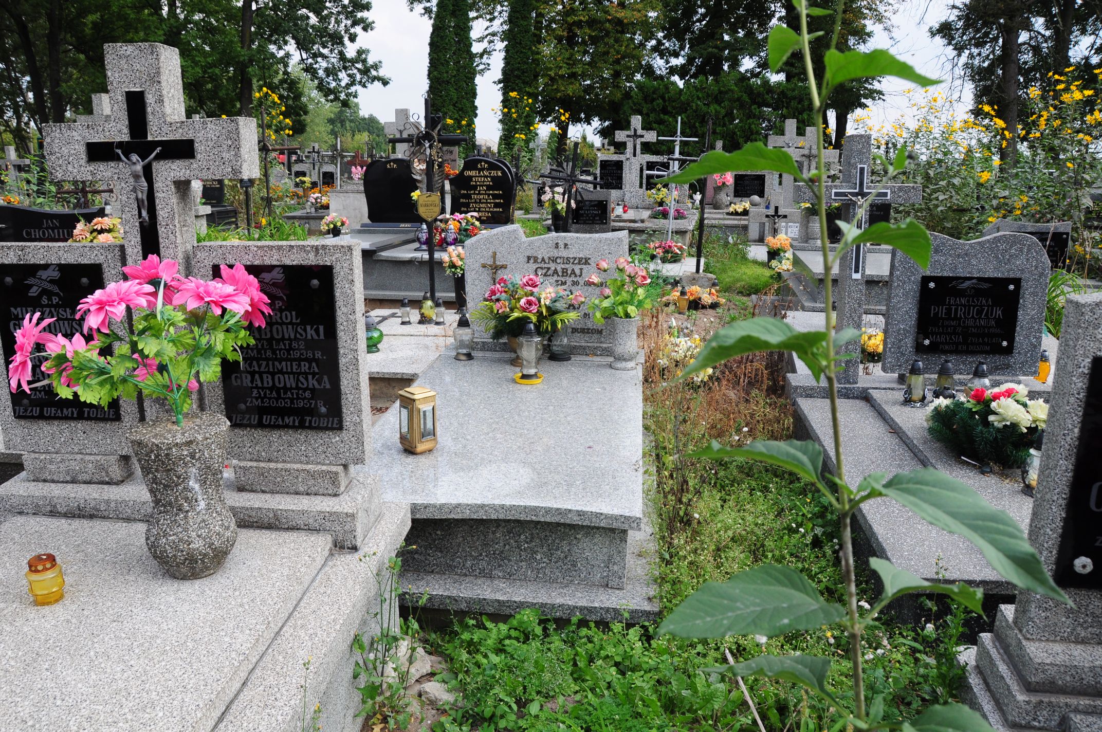 Julia Czabaj Łosice - Grobonet - Wyszukiwarka osób pochowanych