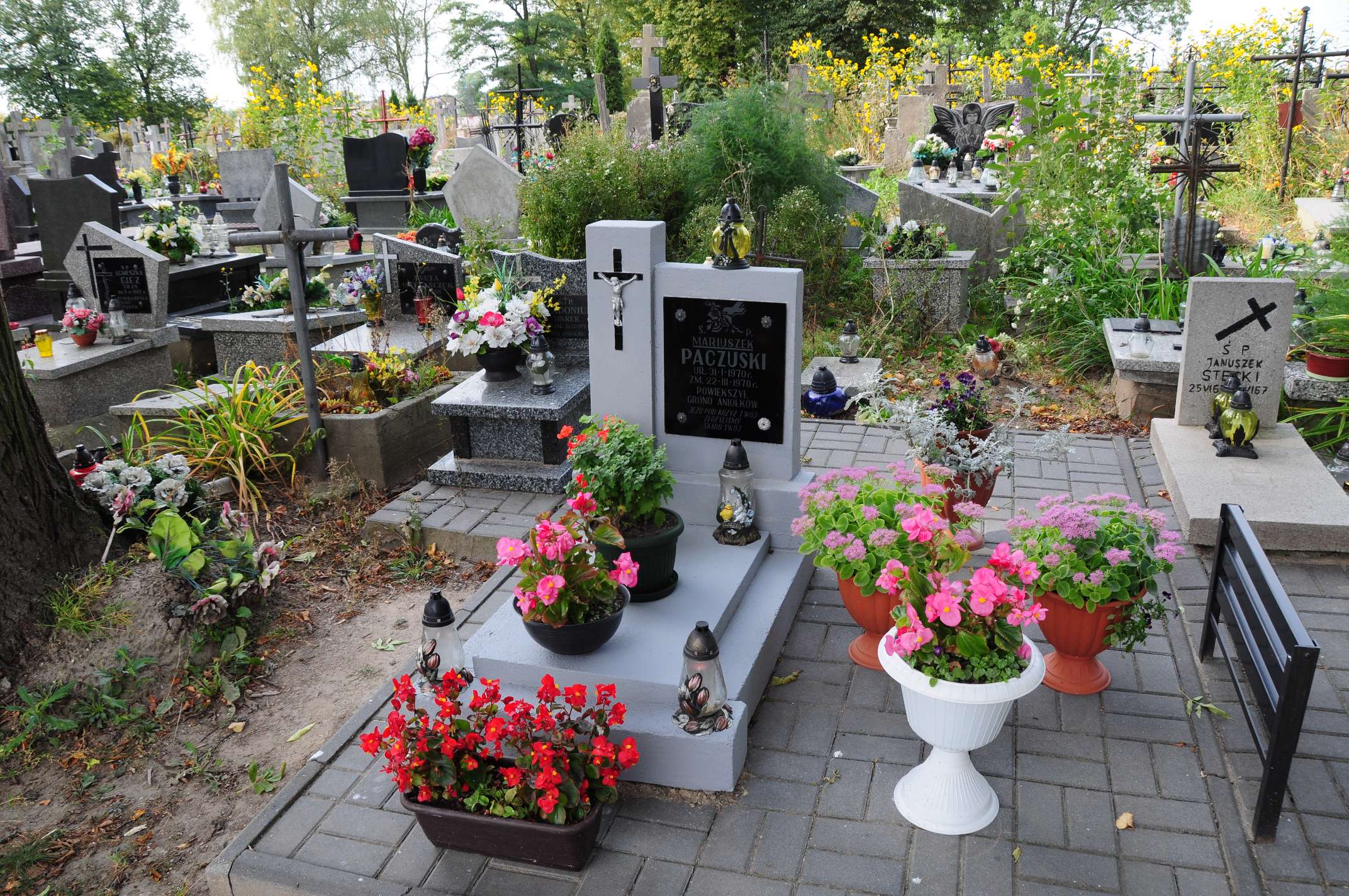 Mariusz Paczuski 1970 Łosice - Grobonet - Wyszukiwarka osób pochowanych