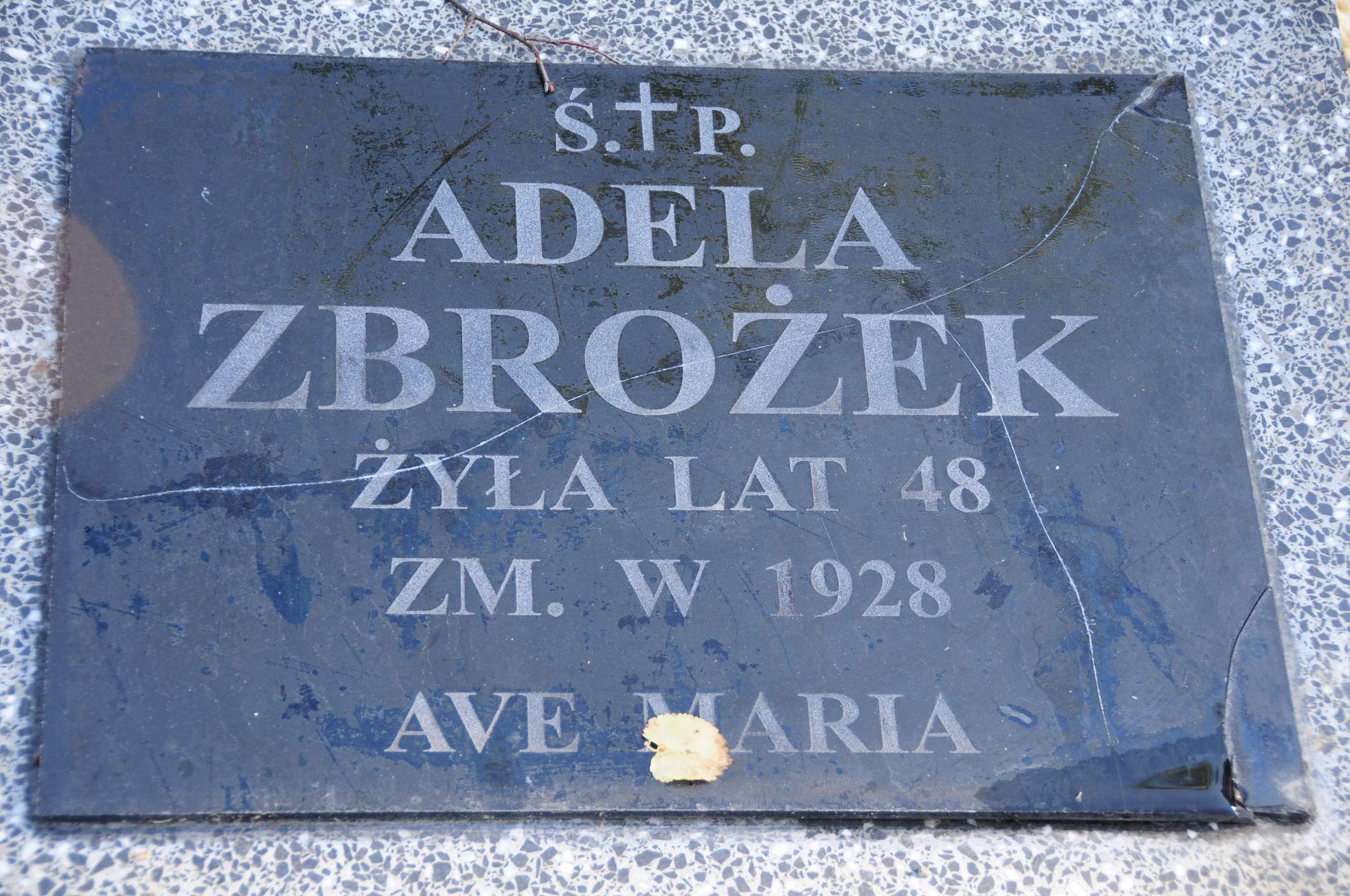 Zdjęcie grobu