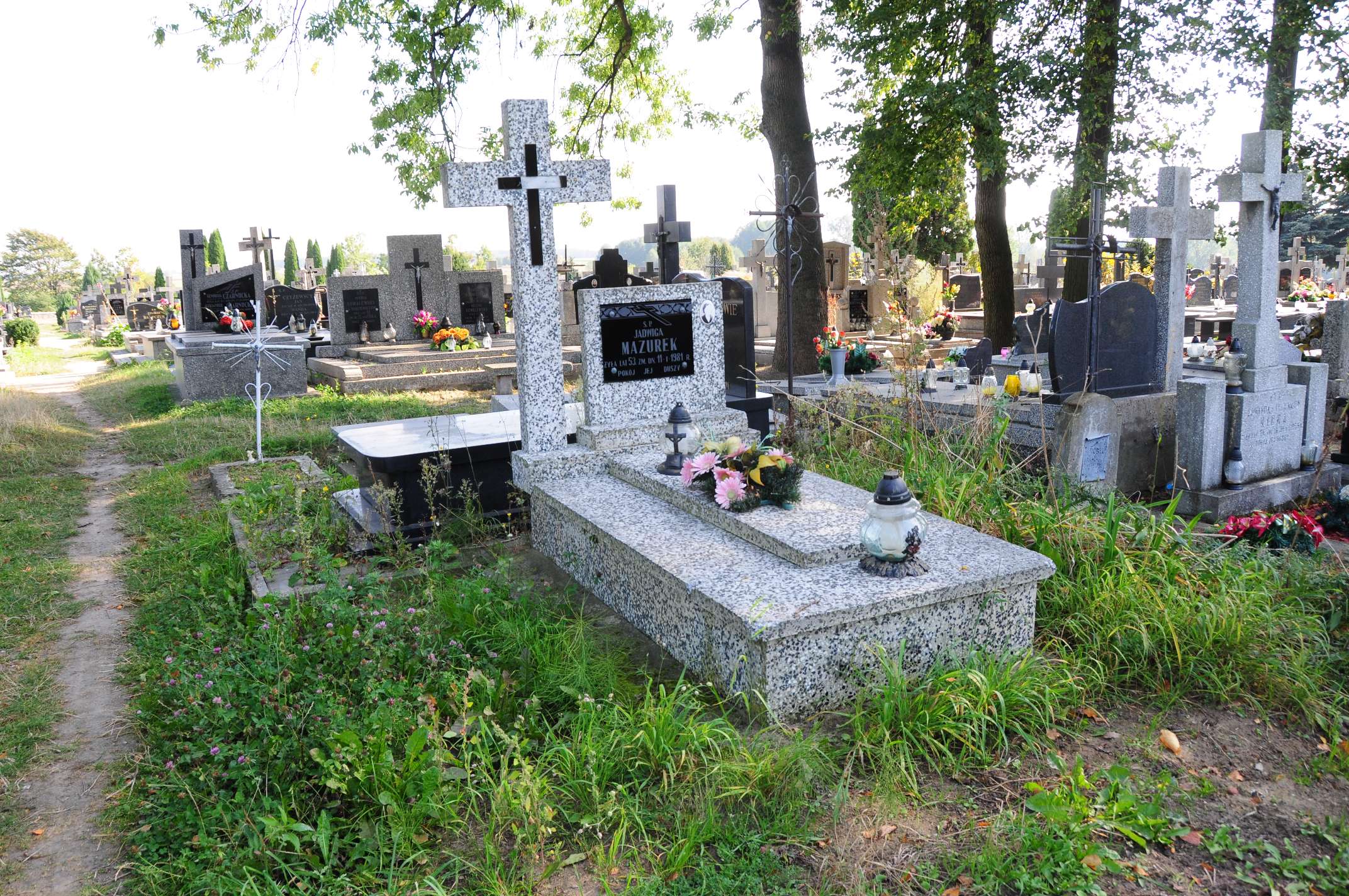 Jadwiga Mazurek Łosice - Grobonet - Wyszukiwarka osób pochowanych