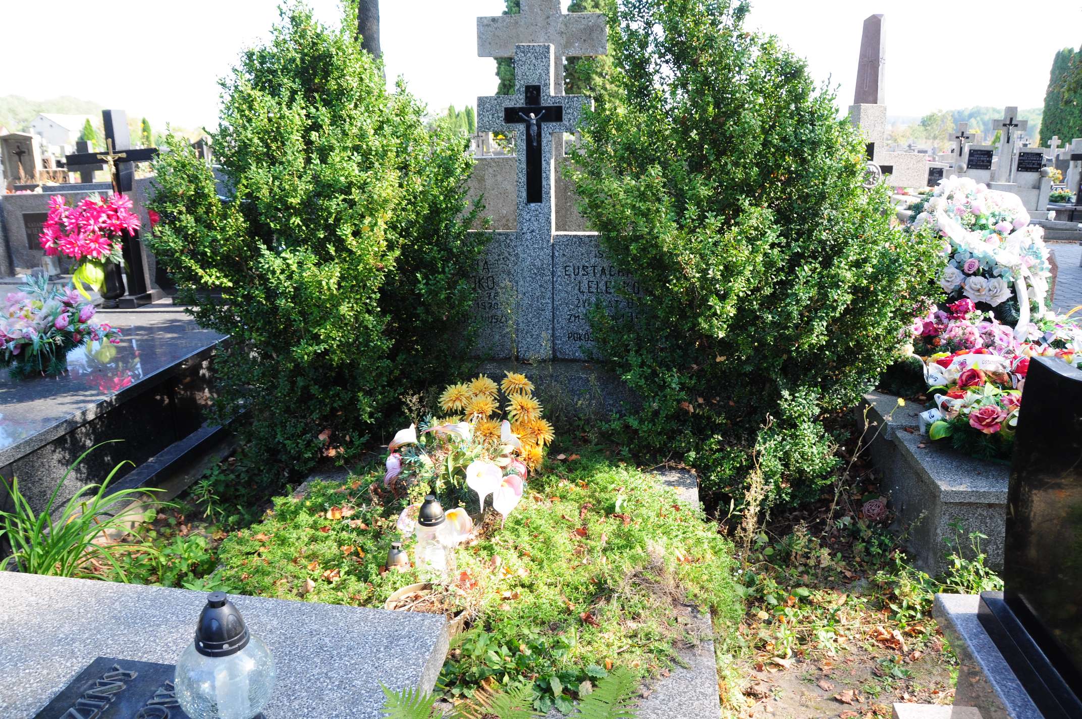 Stefania Lelejko Łosice - Grobonet - Wyszukiwarka osób pochowanych