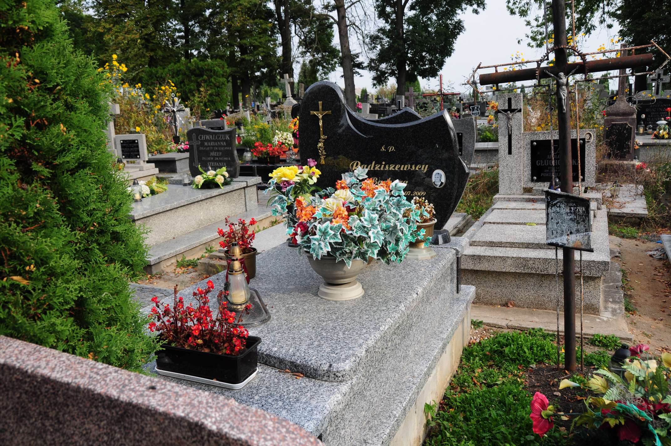 Barbara Radziszewska Łosice - Grobonet - Wyszukiwarka osób pochowanych