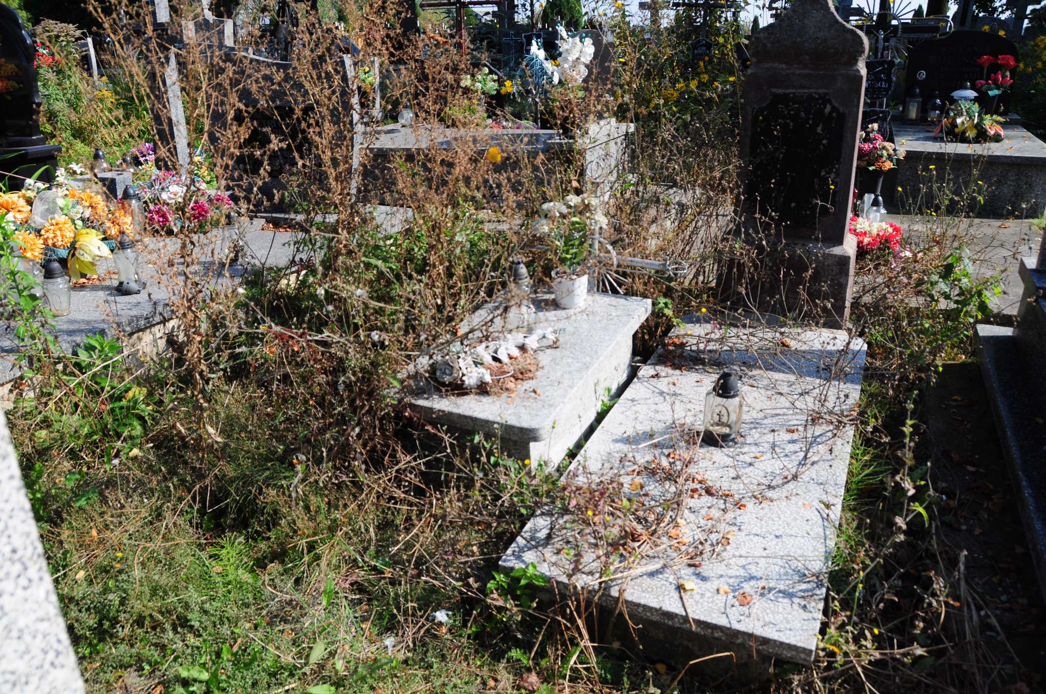 Janusz Wysocki Łosice - Grobonet - Wyszukiwarka osób pochowanych