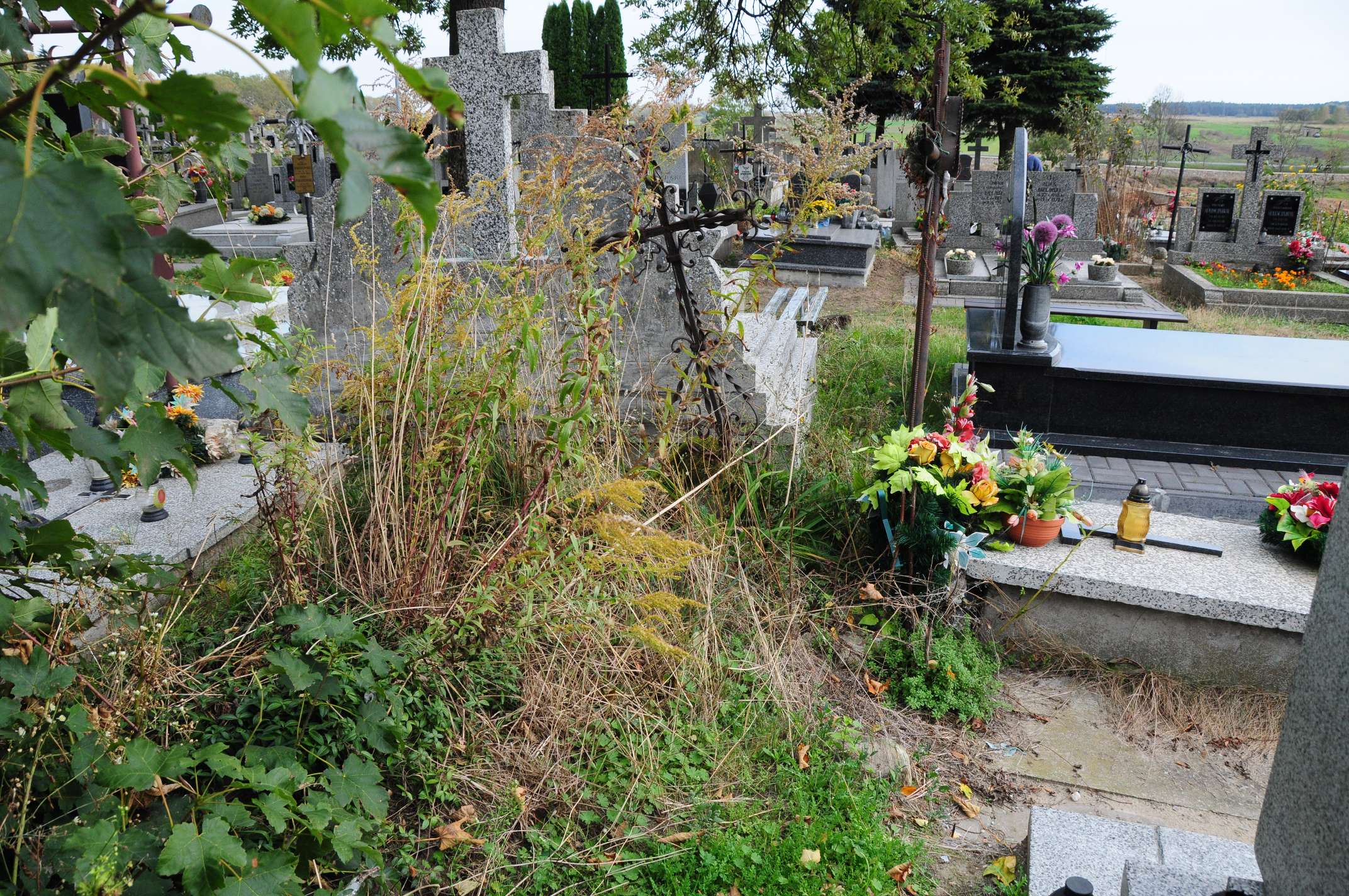 Tadeusz Soroka 1935 Łosice - Grobonet - Wyszukiwarka osób pochowanych