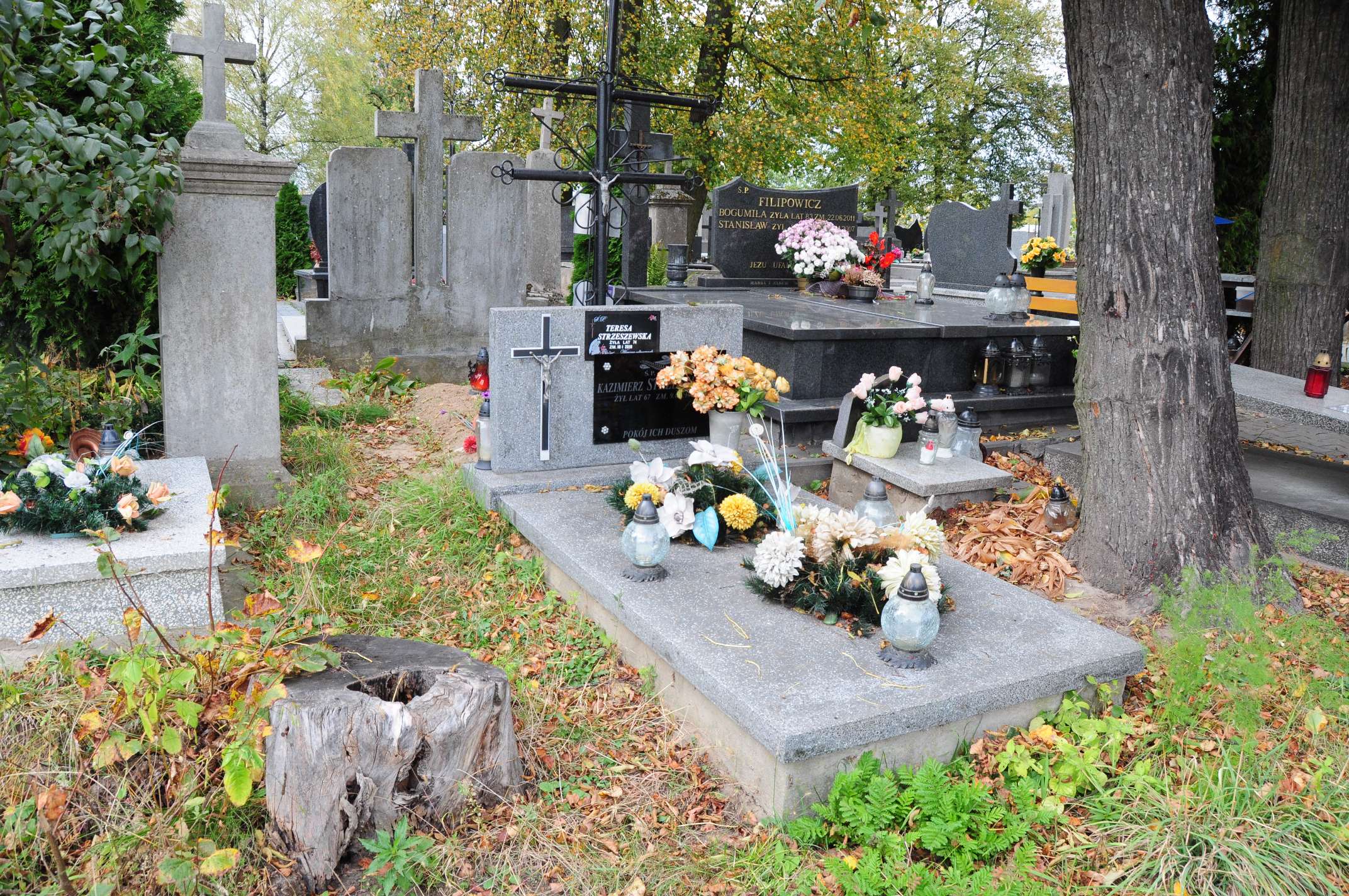 Teresa Strzeszewska Łosice - Grobonet - Wyszukiwarka osób pochowanych