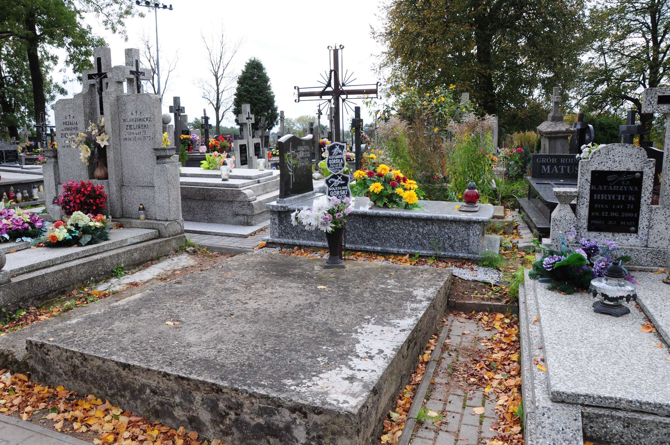 Aleksandra Górska Łosice - Grobonet - Wyszukiwarka osób pochowanych