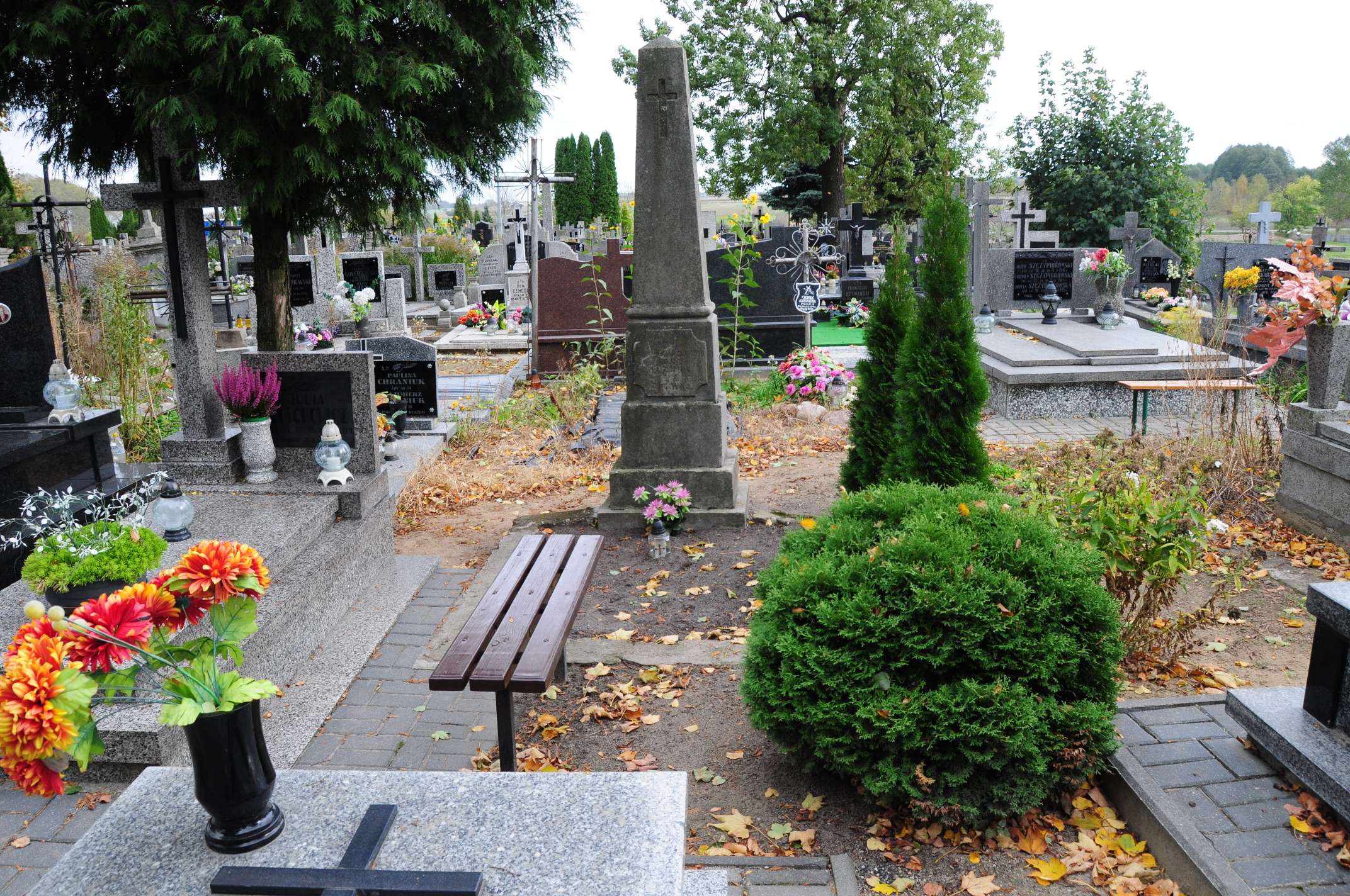 Anna Romaniuk Łosice - Grobonet - Wyszukiwarka osób pochowanych