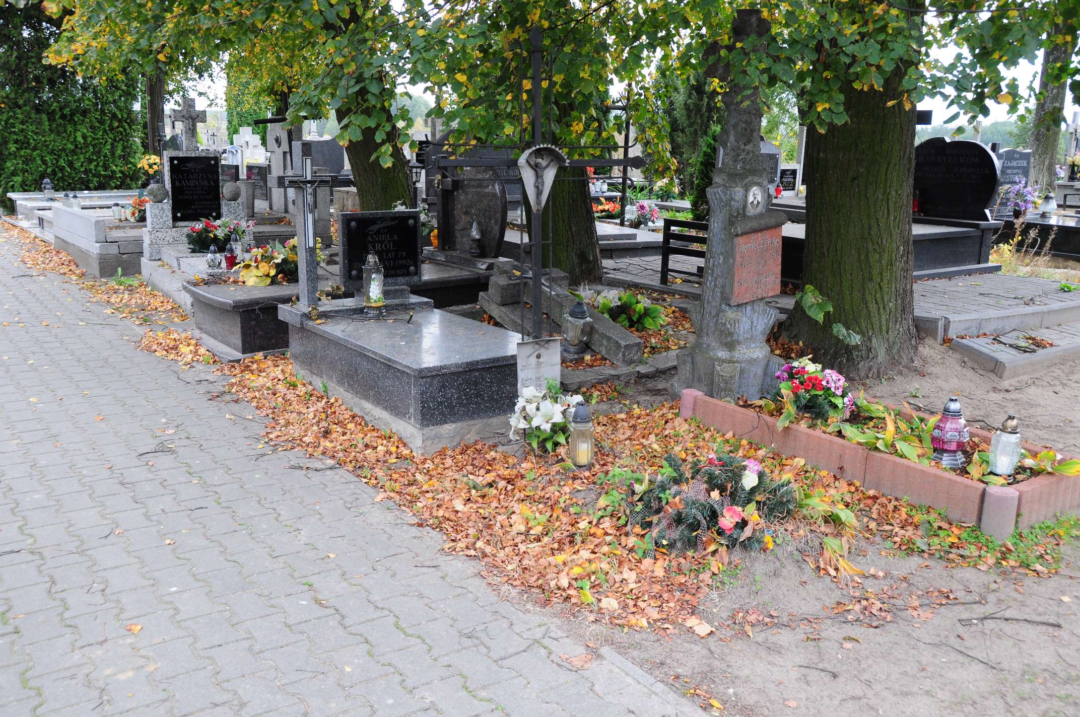 Anna Kulesz Łosice - Grobonet - Wyszukiwarka osób pochowanych