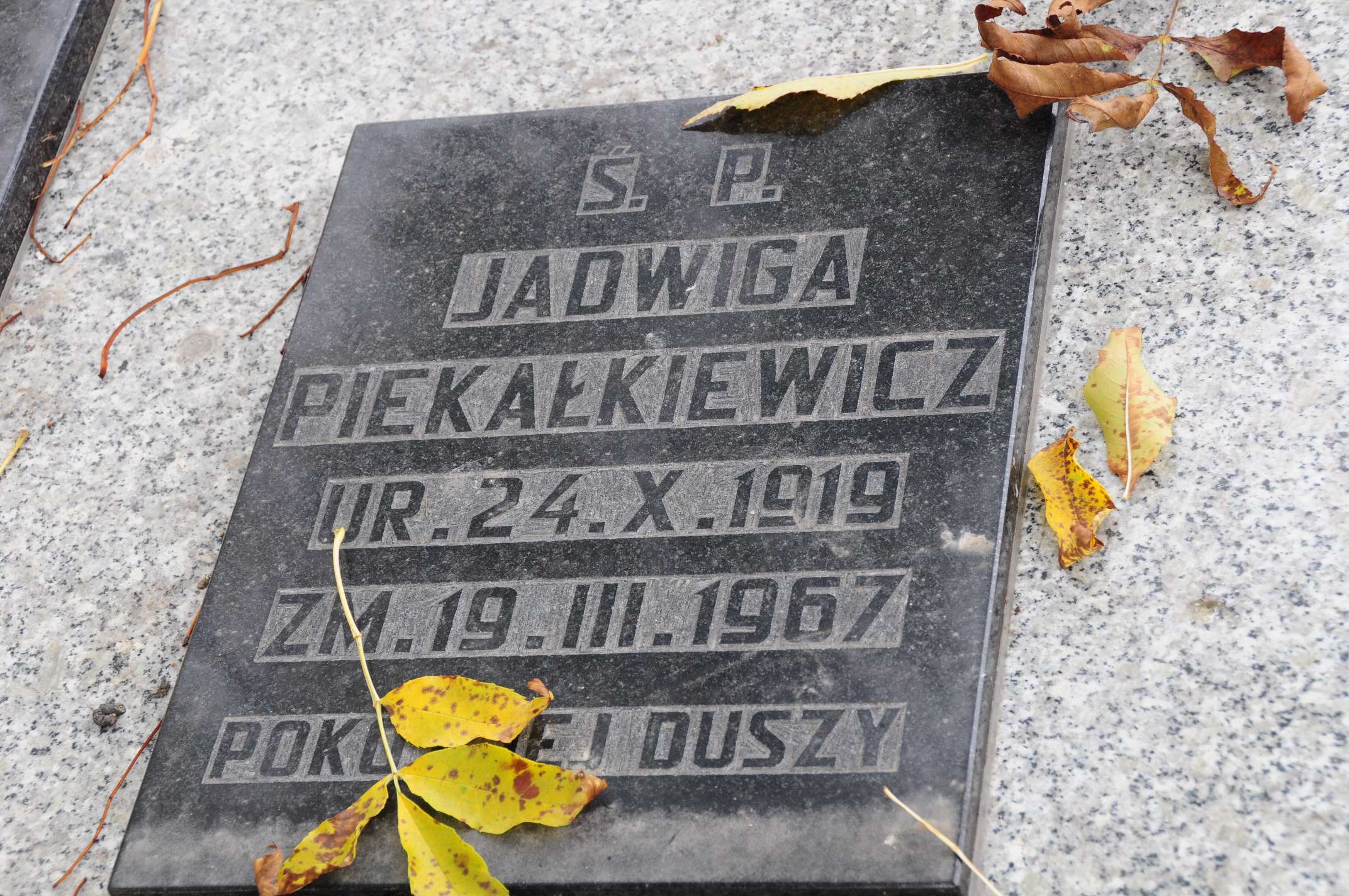 Grób Janina Bielecka