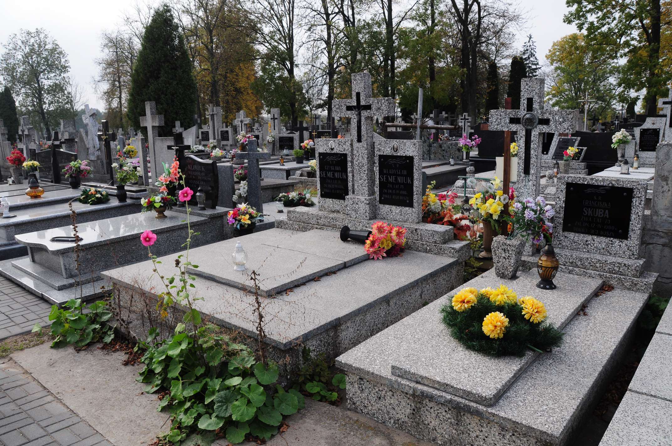 Władysław Semeniuk Łosice - Grobonet - Wyszukiwarka osób pochowanych