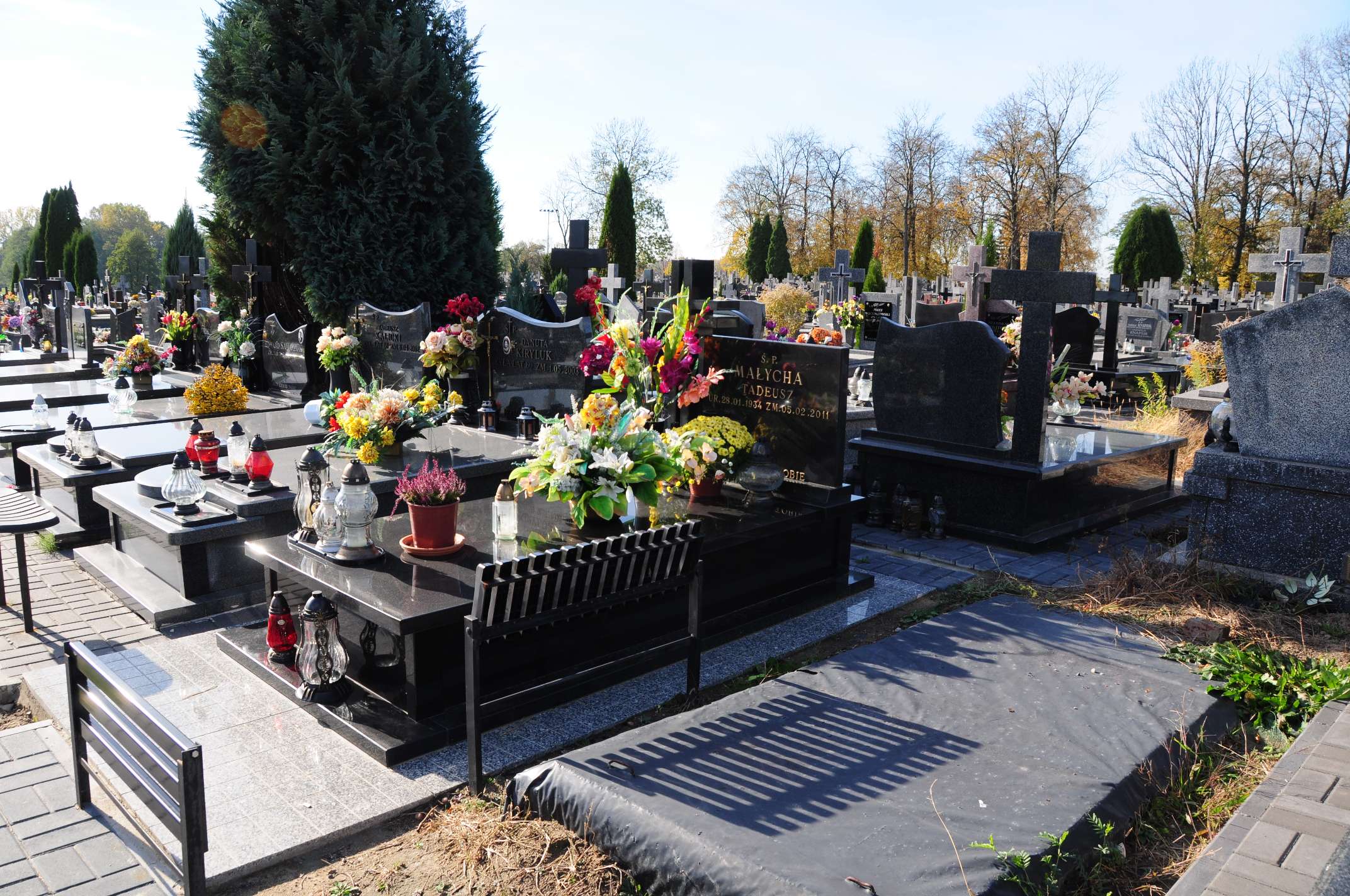 Tadeusz Małycha 1934 Łosice - Grobonet - Wyszukiwarka osób pochowanych