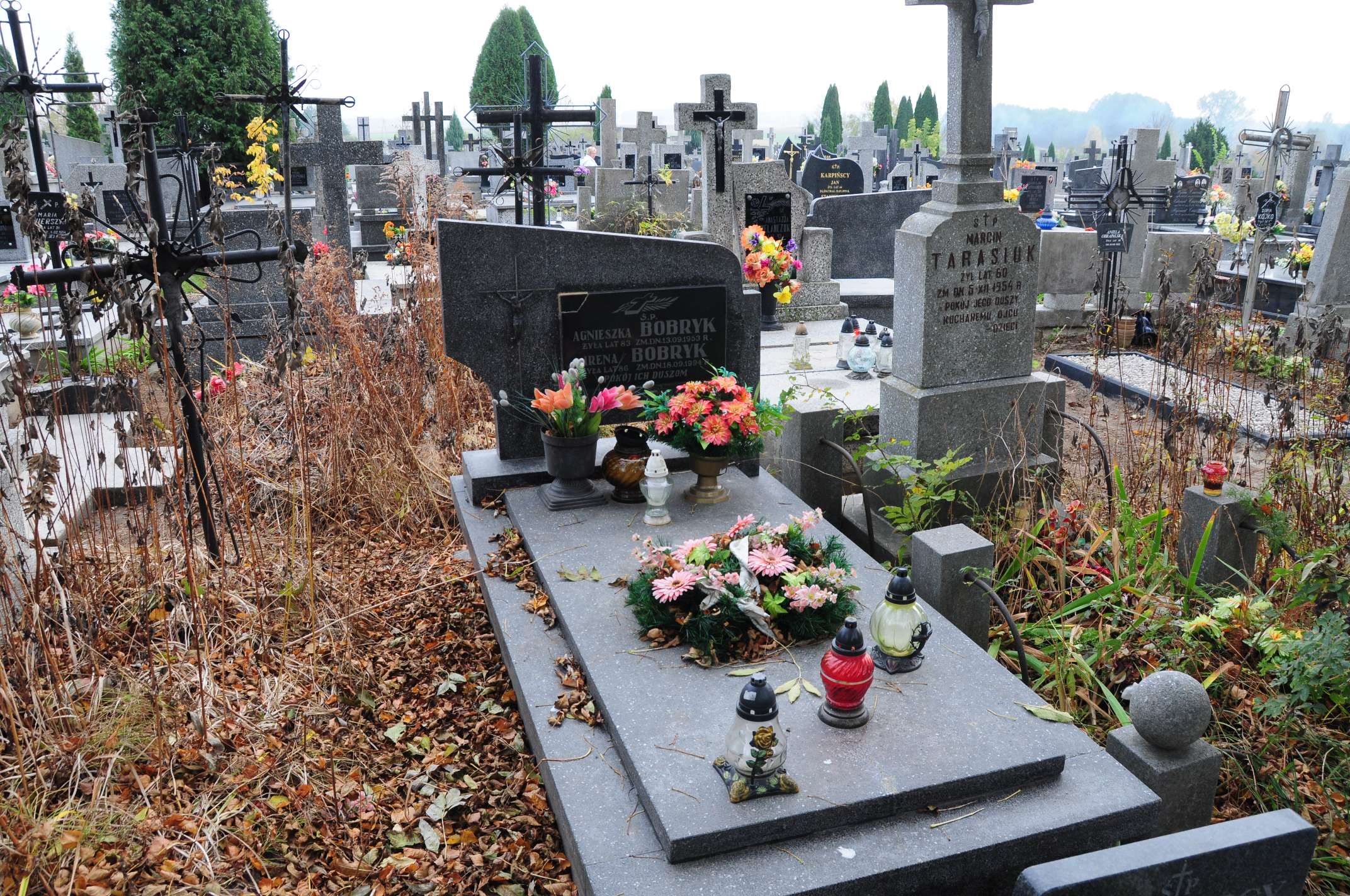 Agnieszka Bobryk Łosice - Grobonet - Wyszukiwarka osób pochowanych