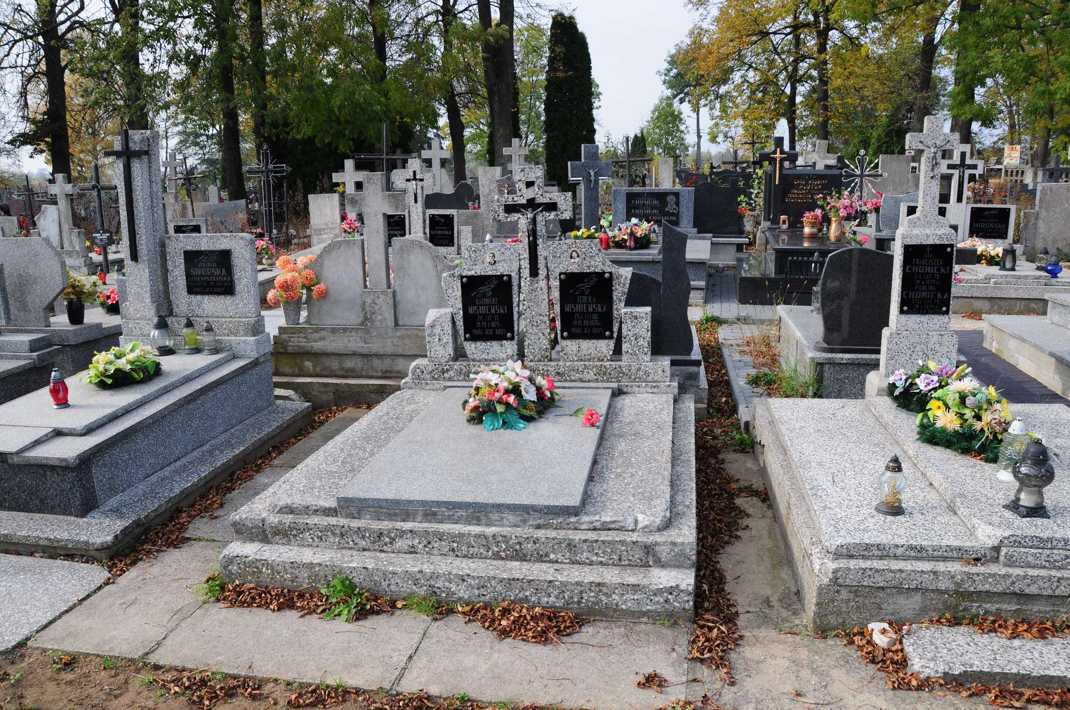 Teofila Wisniewski Łosice - Grobonet - Wyszukiwarka osób pochowanych