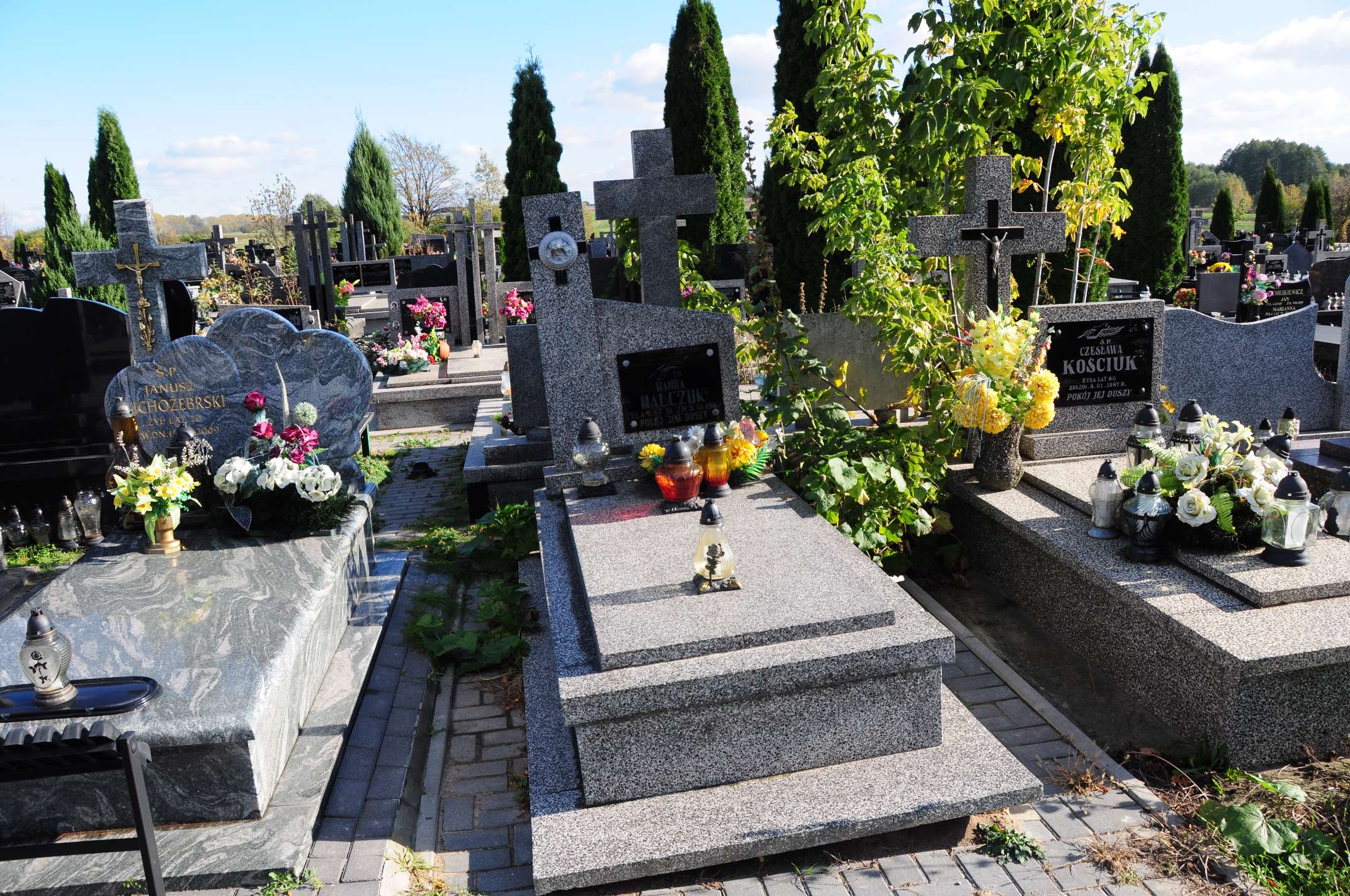 Andrzej Świderski 1961 Łosice - Grobonet - Wyszukiwarka osób pochowanych