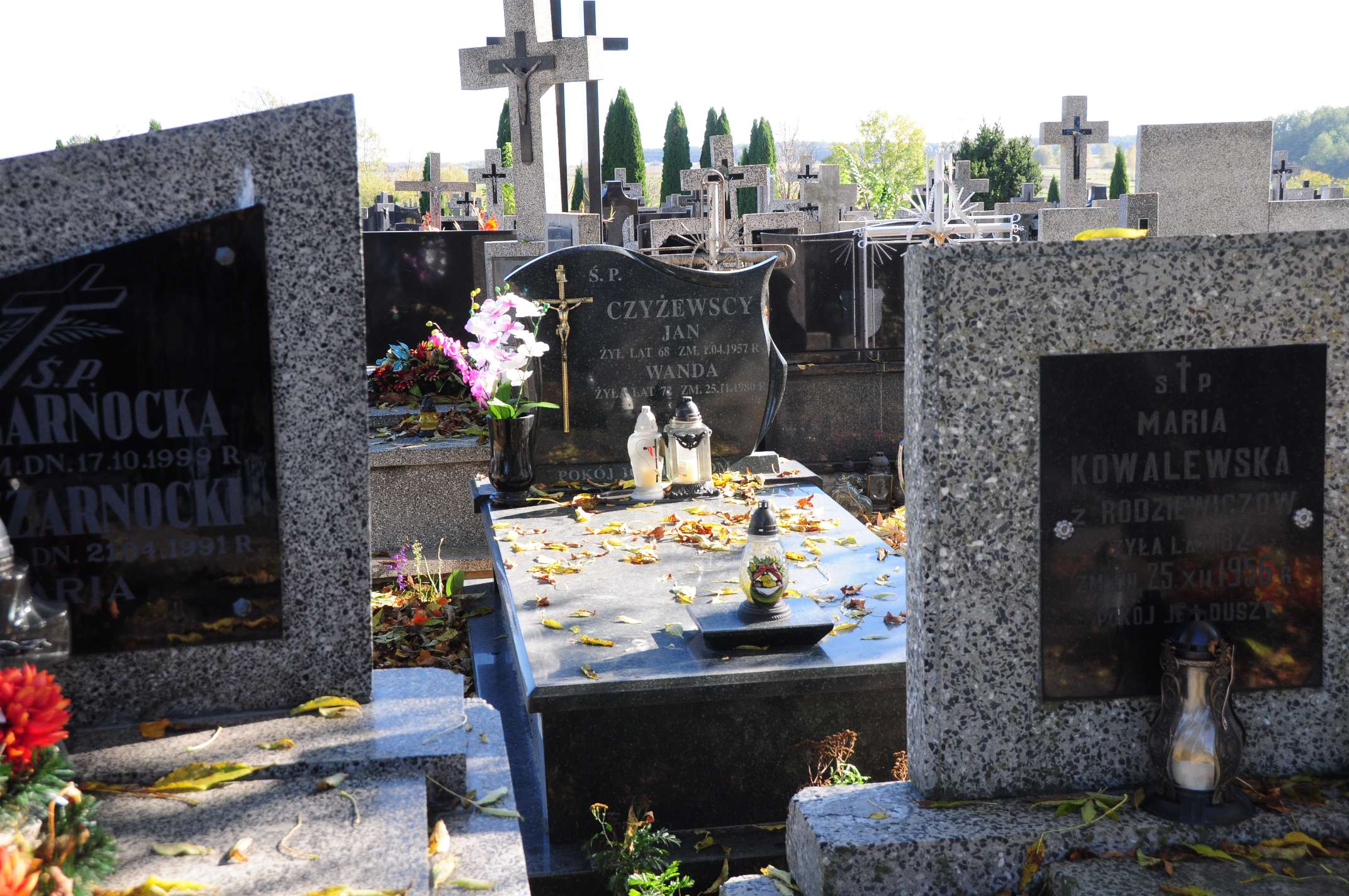 Jan Czyżewski Łosice - Grobonet - Wyszukiwarka osób pochowanych