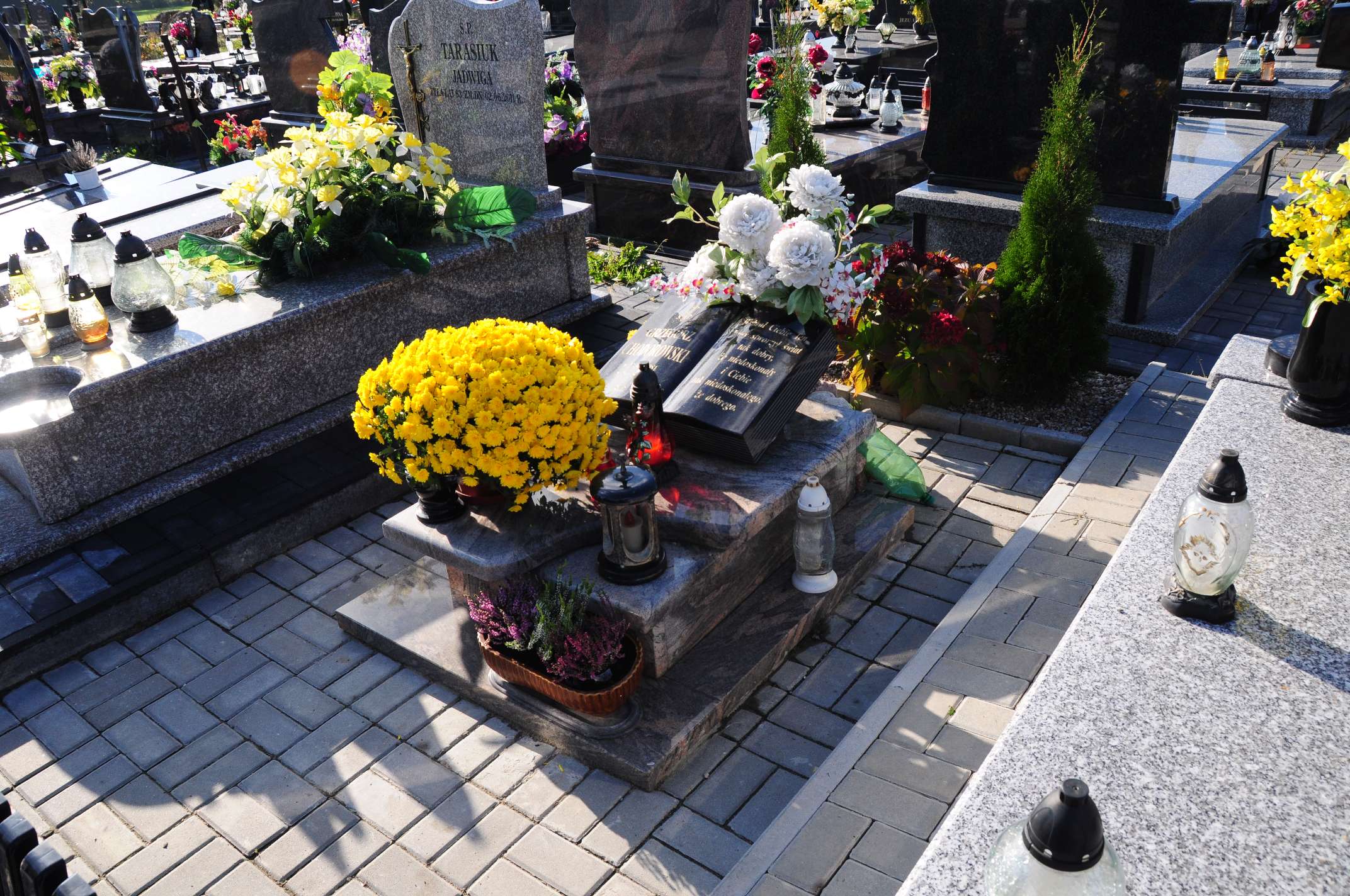 Grzegorz Chodorowski 1981 Łosice - Grobonet - Wyszukiwarka osób pochowanych