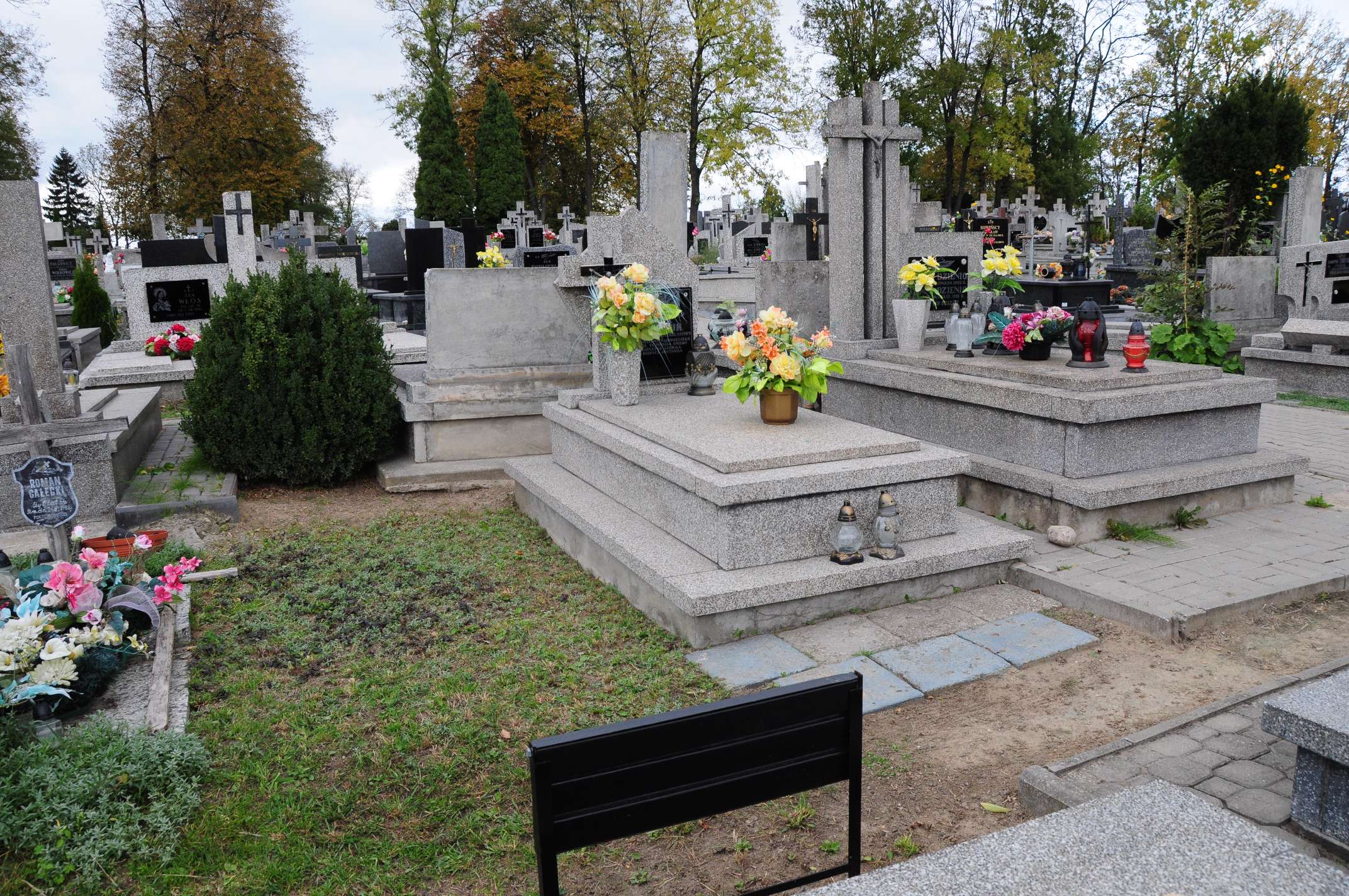 Marek Panasiuk Łosice - Grobonet - Wyszukiwarka osób pochowanych