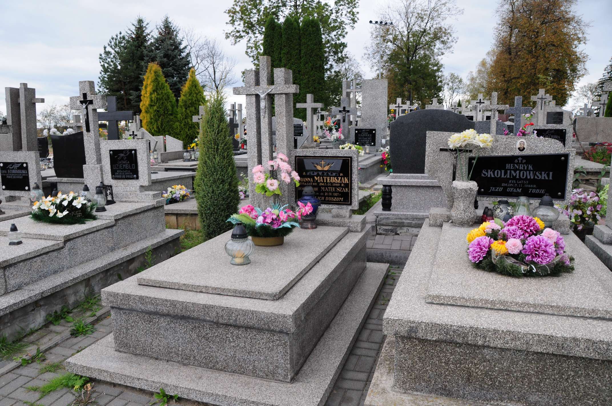 Joanna Mateuszak Łosice - Grobonet - Wyszukiwarka osób pochowanych