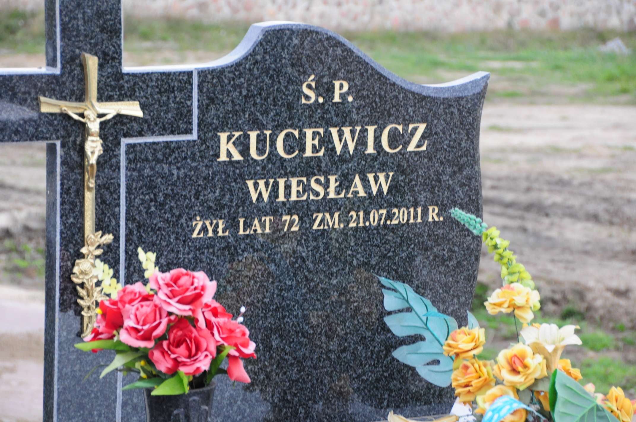 Grób Anna Kucewicz