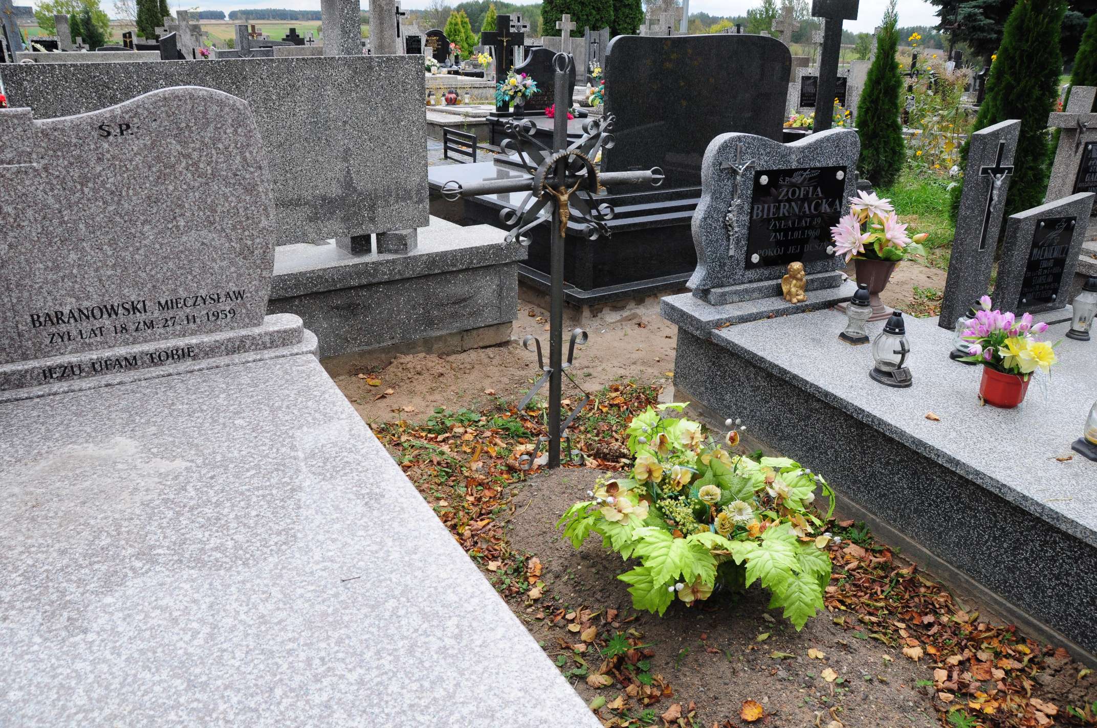 Jan Litwiniuk 1885 Łosice - Grobonet - Wyszukiwarka osób pochowanych