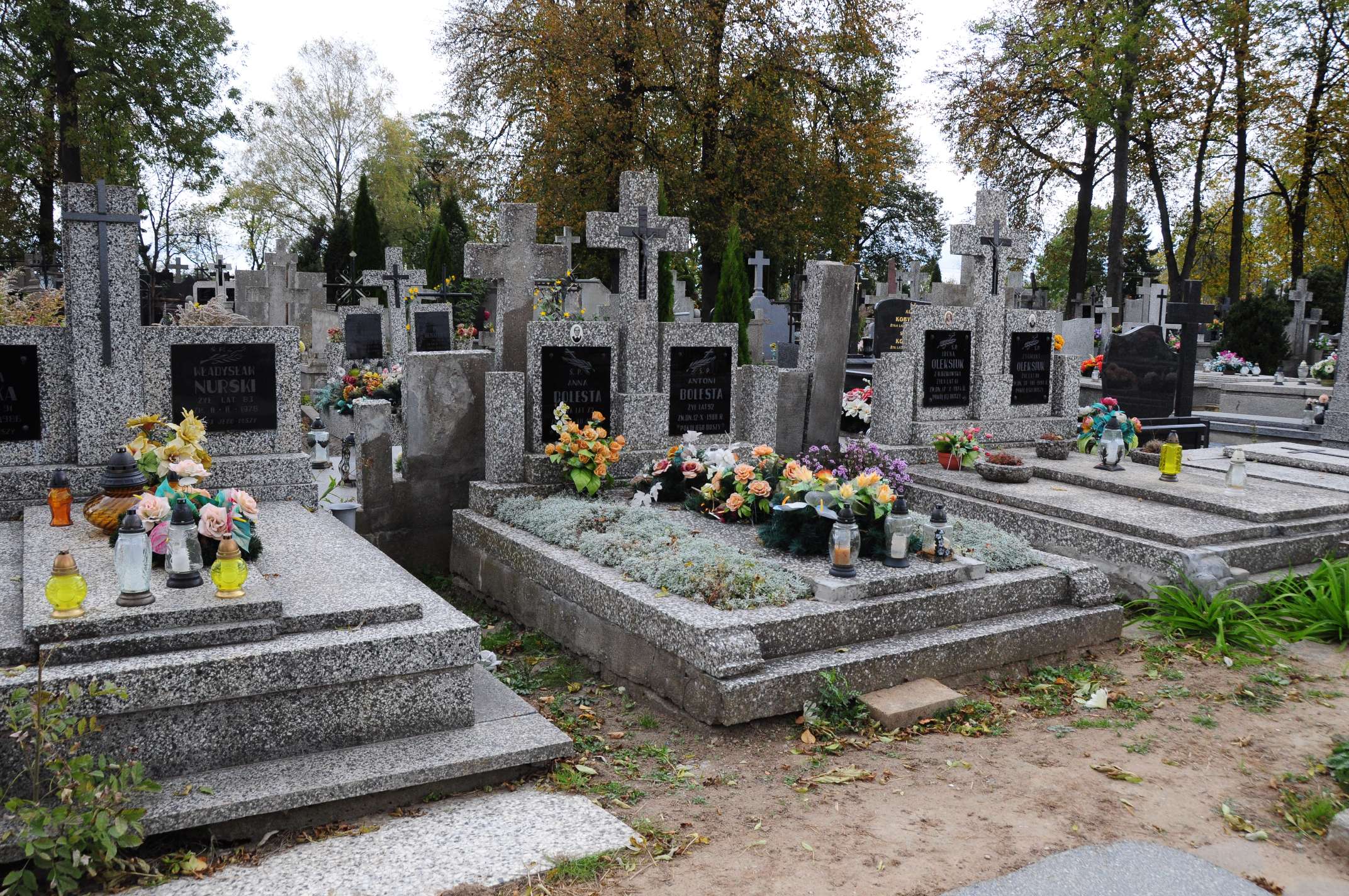 Anna Bolesta Łosice - Grobonet - Wyszukiwarka osób pochowanych